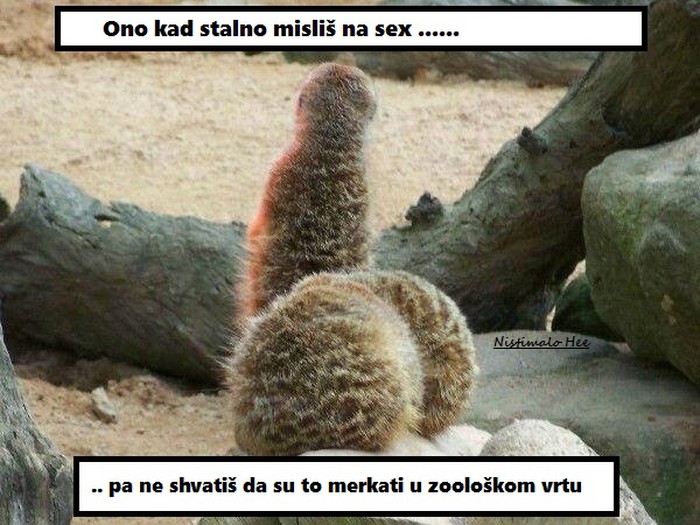 bolesni mozak