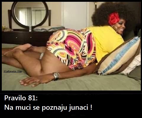 pravilo 81.jpg