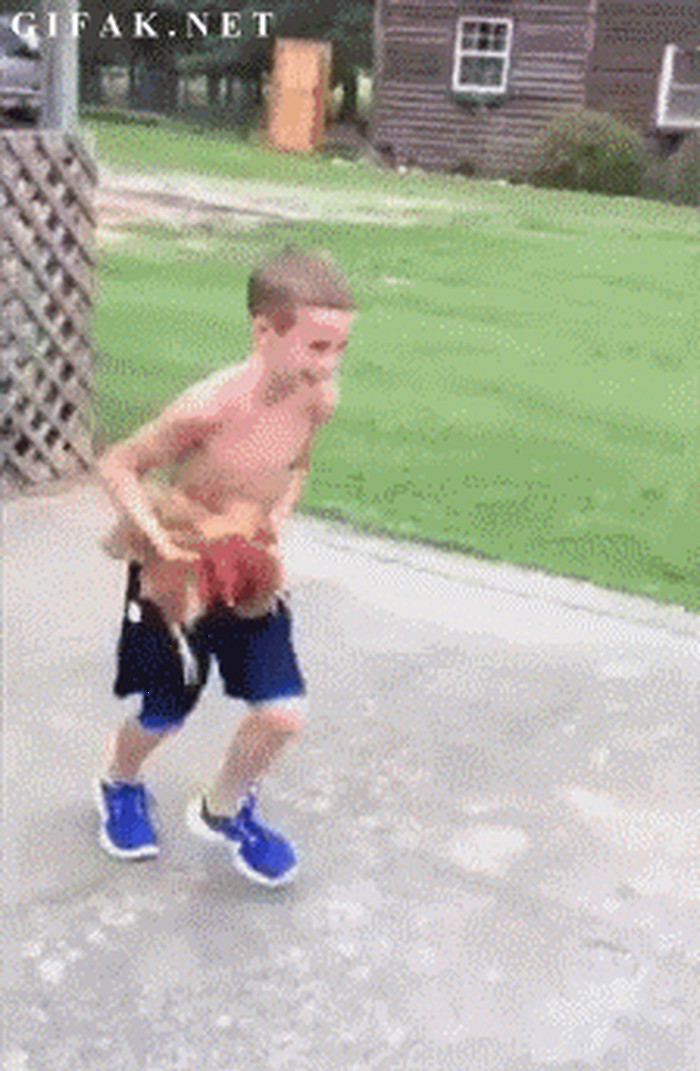 kokošarka.gif