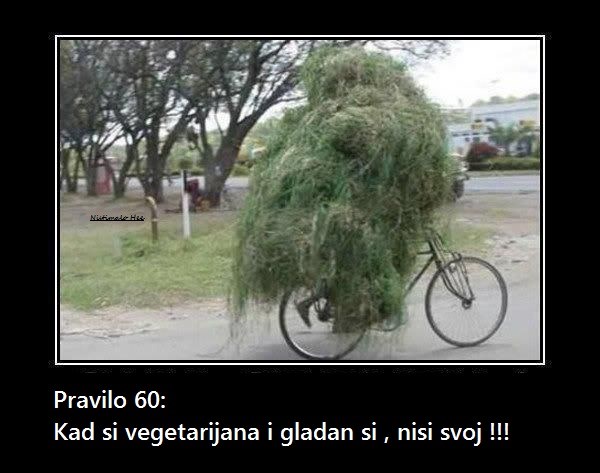 Pravilo 60.jpg