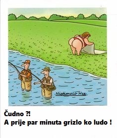 što je poplašilo ribe