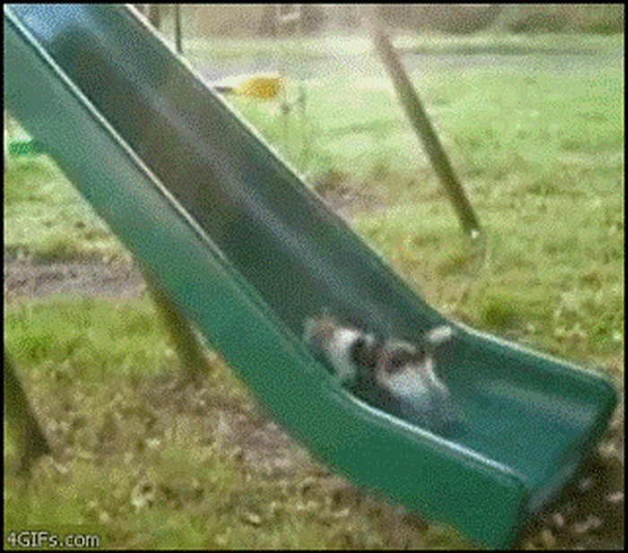 ono kad misliš da ti ide u životu.gif