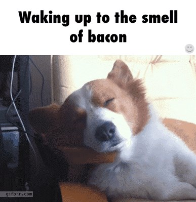 ono kad te probudi miris slanine.gif