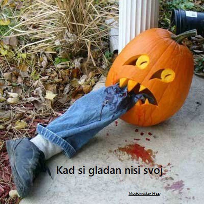 kad si gladan.jpg