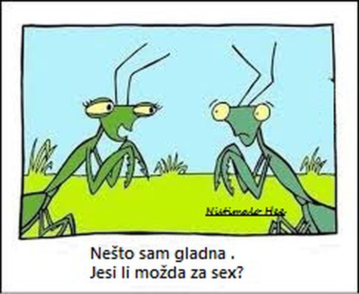 hmmm...jpg