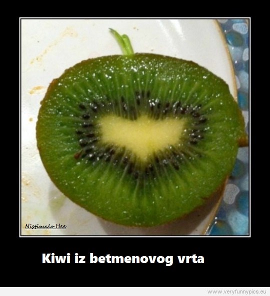 kiwi.jpg