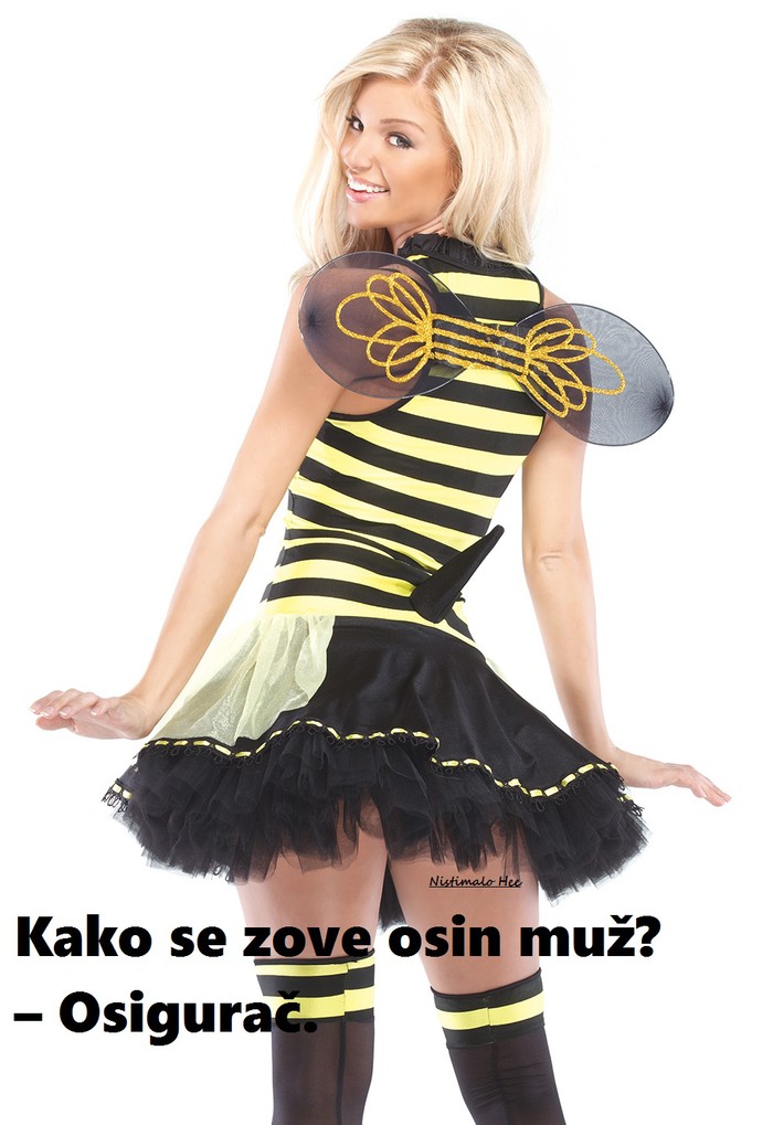 osigurač.jpg