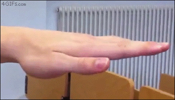 fleksi.gif