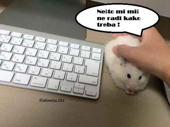 miš.jpg