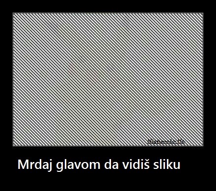 mrdaj glavom.jpg