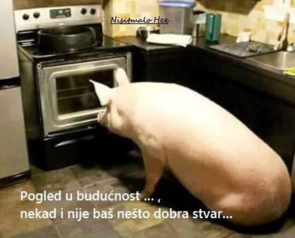 Pogled u budućnost.jpg