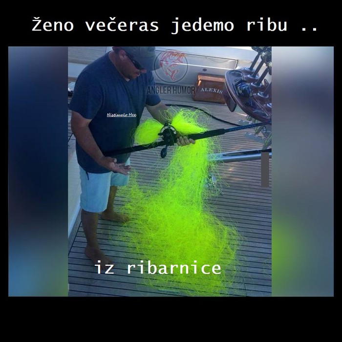 11703112_411954312335100_1857535434112200646_n.jpg