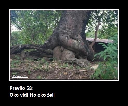 pravilo 58