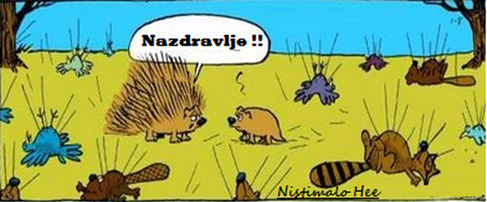 Dikobraz.png