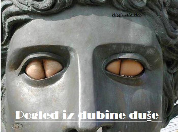 pogled