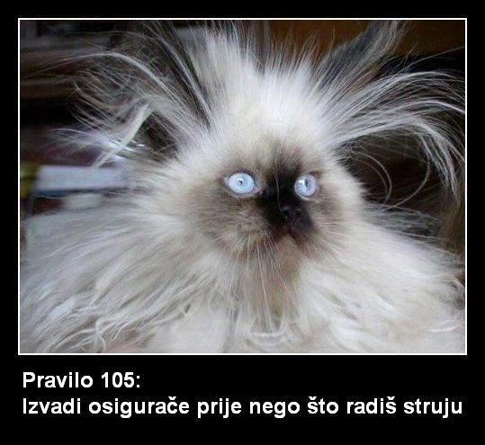 pravilo 105.JPG