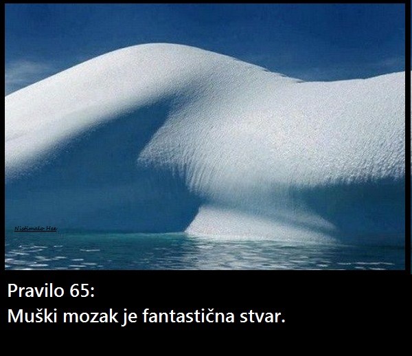 Pravilo 65.jpg