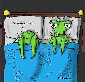 Neki izgube glavu zbog sexa.jpg