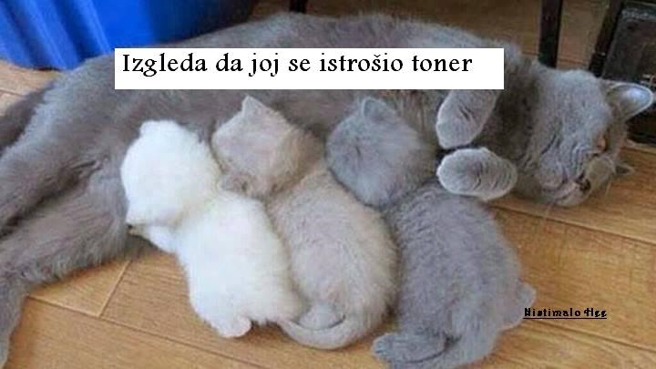 potrošila sav toner