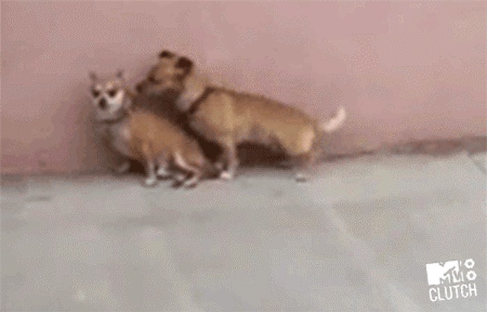 ljubav na daljinu.gif