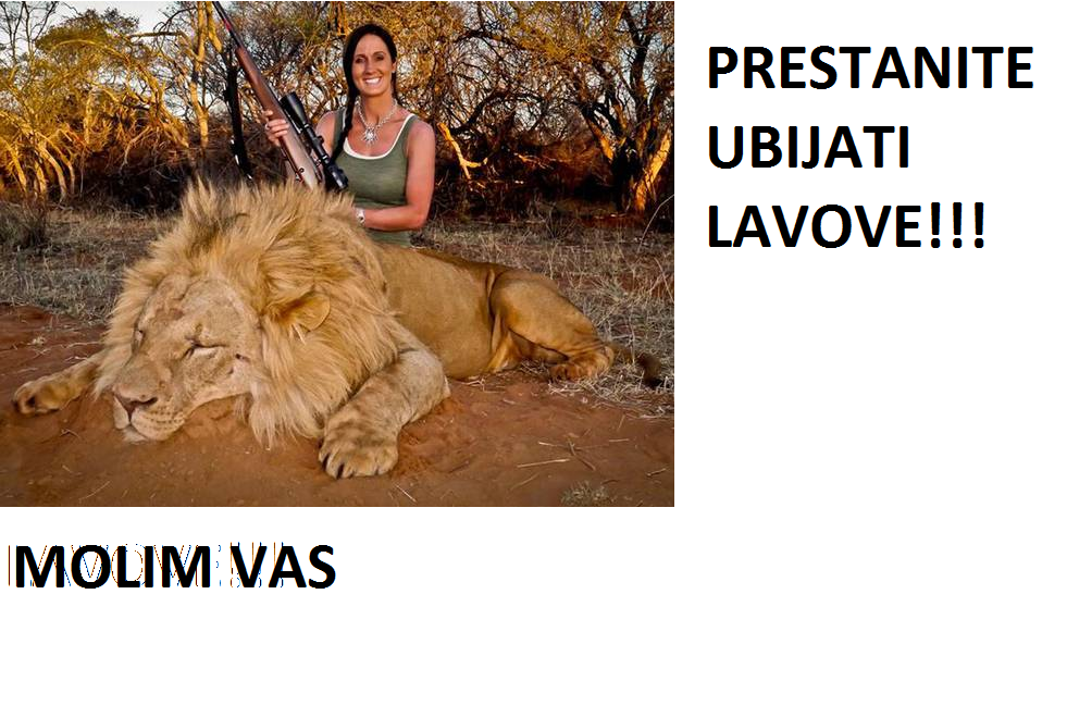 Prestanite ubijati lavove iz zabave!
