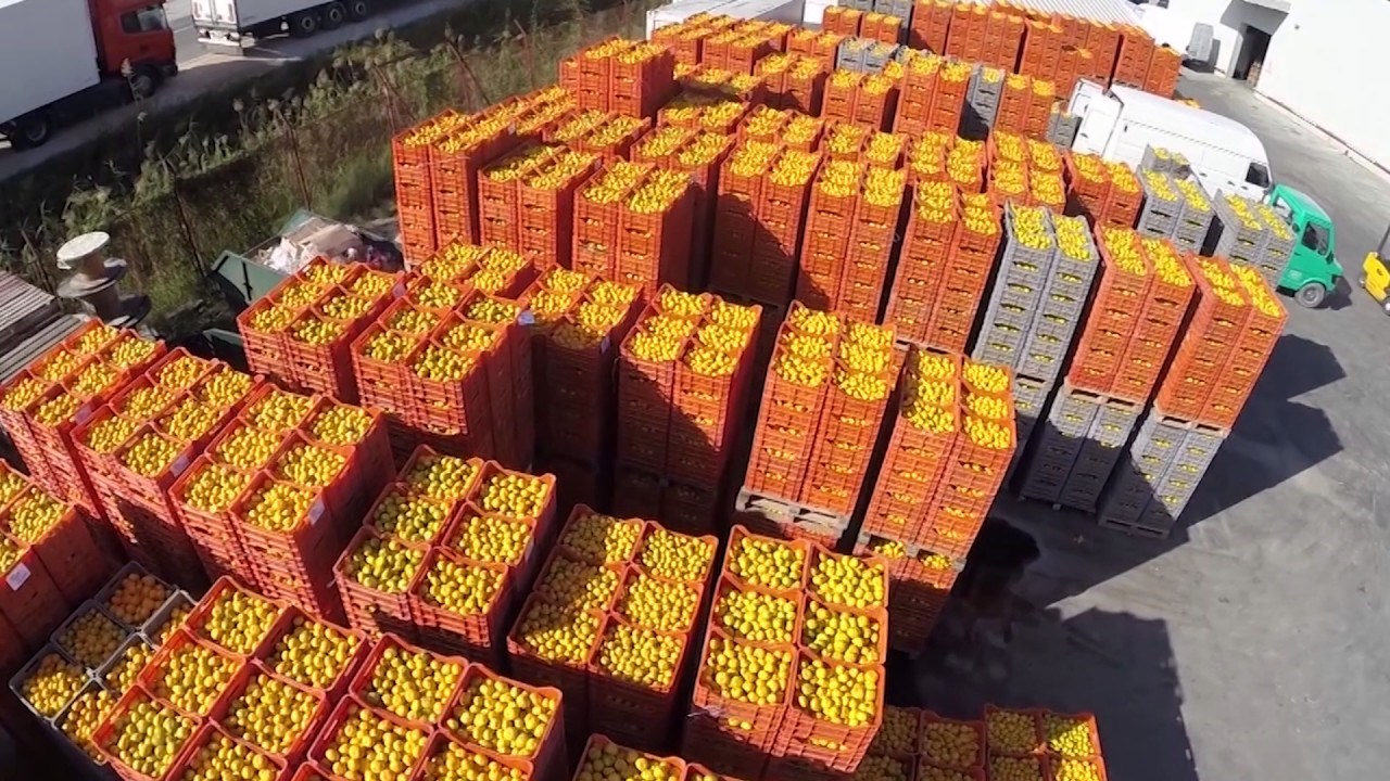 Dolina rijeke Neretve - Kulturna, turistička i gospodarska destinacija Hrvatske