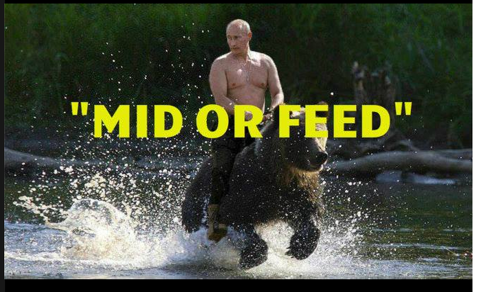 PUTIN.png