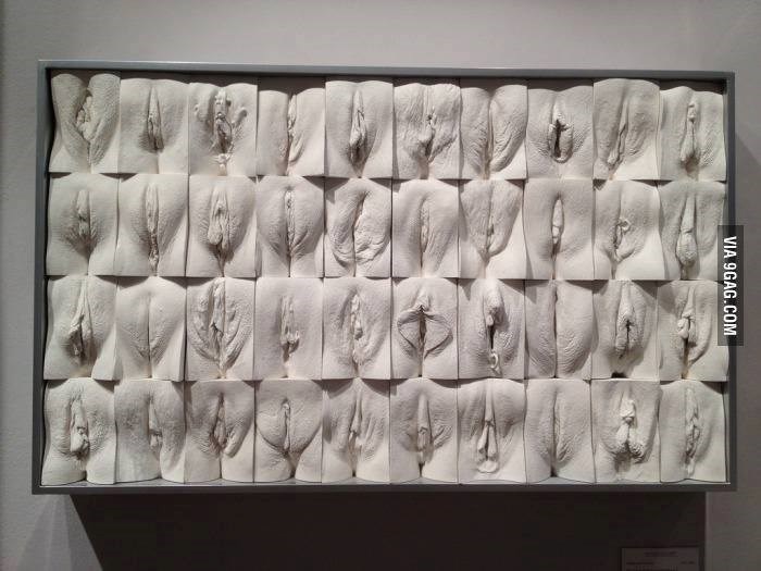 Jutros mi je ruža procvjetala