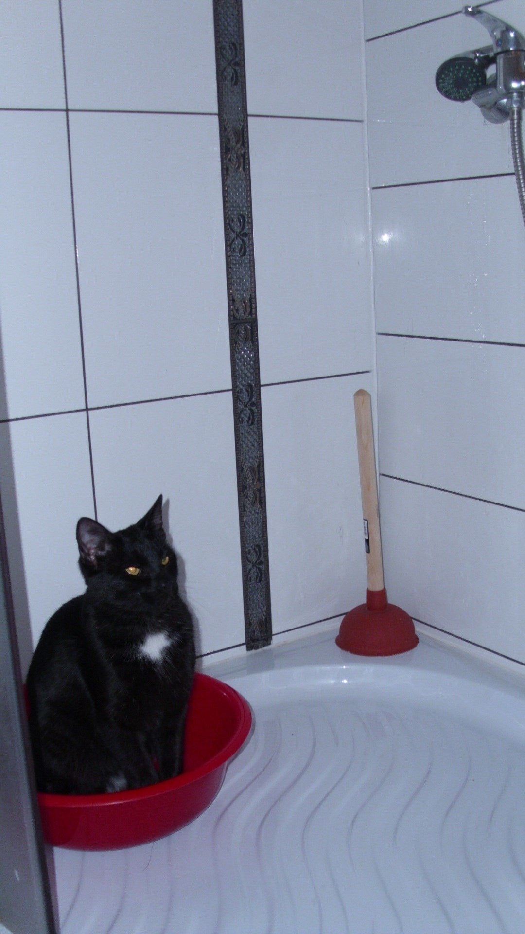 Ja sam na redu za tuš..ajde više,cure me čekaju večeras..!!