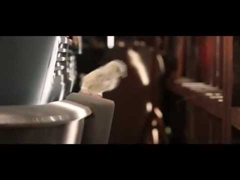 Amazing fun video - chick parking sensor