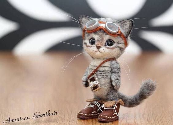 Steampunk kitty