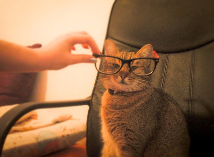 Profesorica Gita