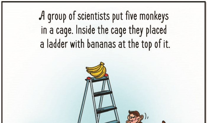 Monkeys and bananas society experiment.jpg
