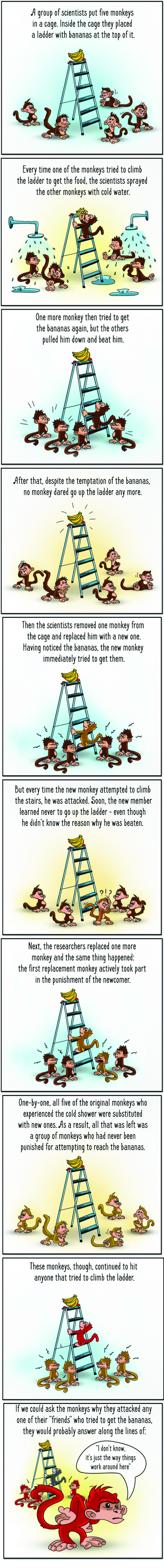 Monkeys and bananas society experiment.jpg