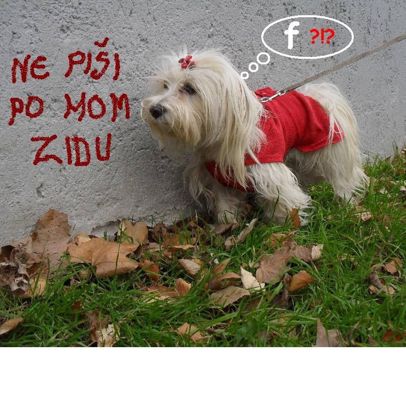 Ne piši po mom zidu
