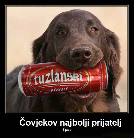 Čovjekov najbolji prijatjelj,... i pas