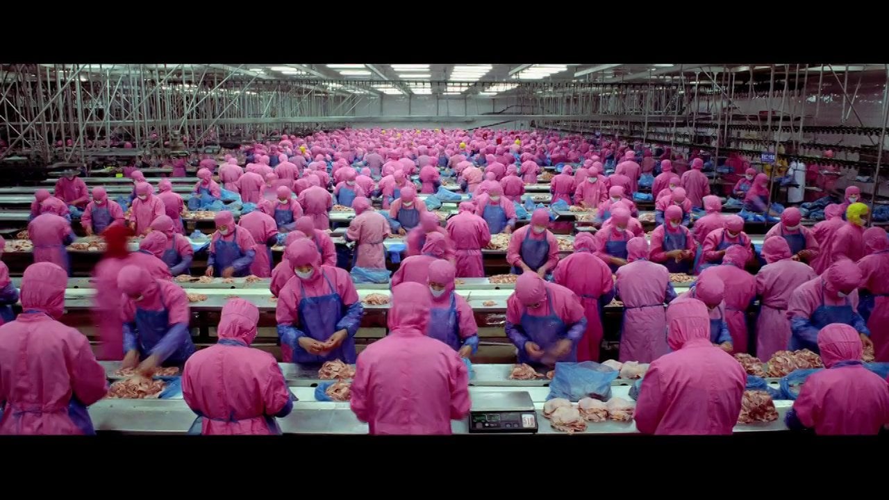 SAMSARA food sequence