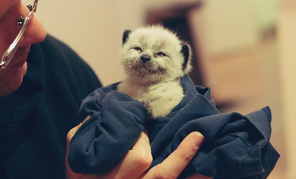 Minimacan smiješkom osvojio vlasnike