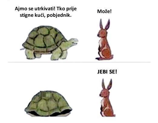 Podla kornjača izvarala zeca