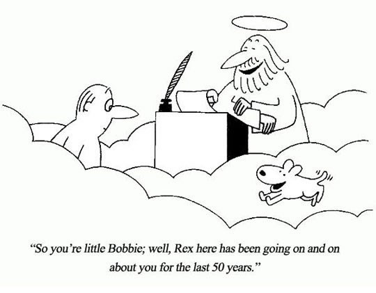 Pas - vjeran do kraja, pa i nakon