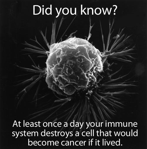 Tijelo te svaki dan samo spasi od raka