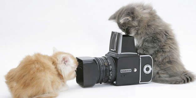 Daj budi mirna da te fotkam, pa za book ti je!