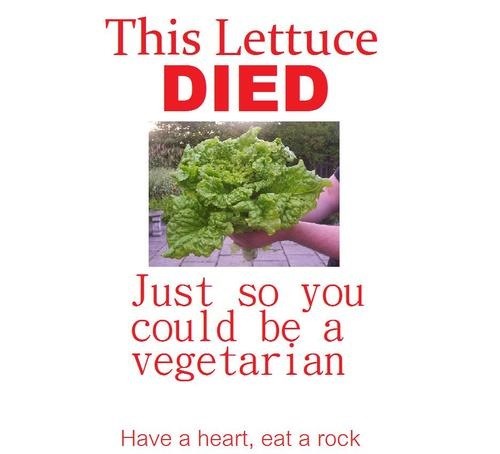 Oj vegani, jel vam žao?