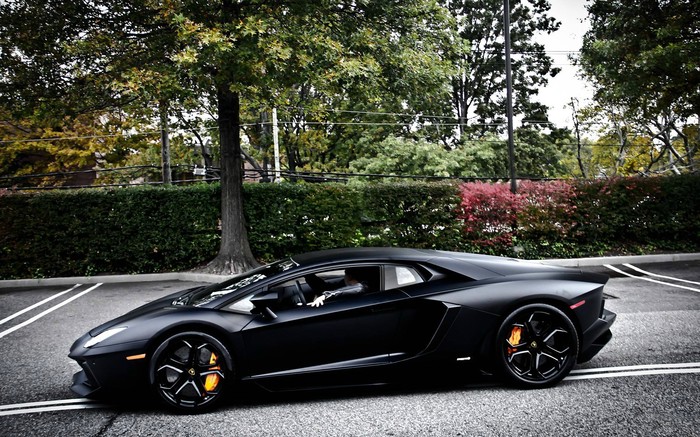 Prelijepa zvijer od Lamborghinija