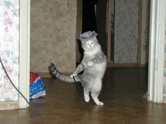 I jen, i dva, i jen dva tri...