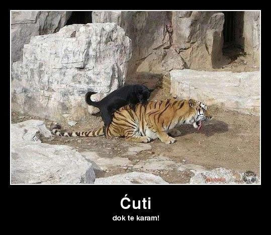 Ćuti, dok te karam!