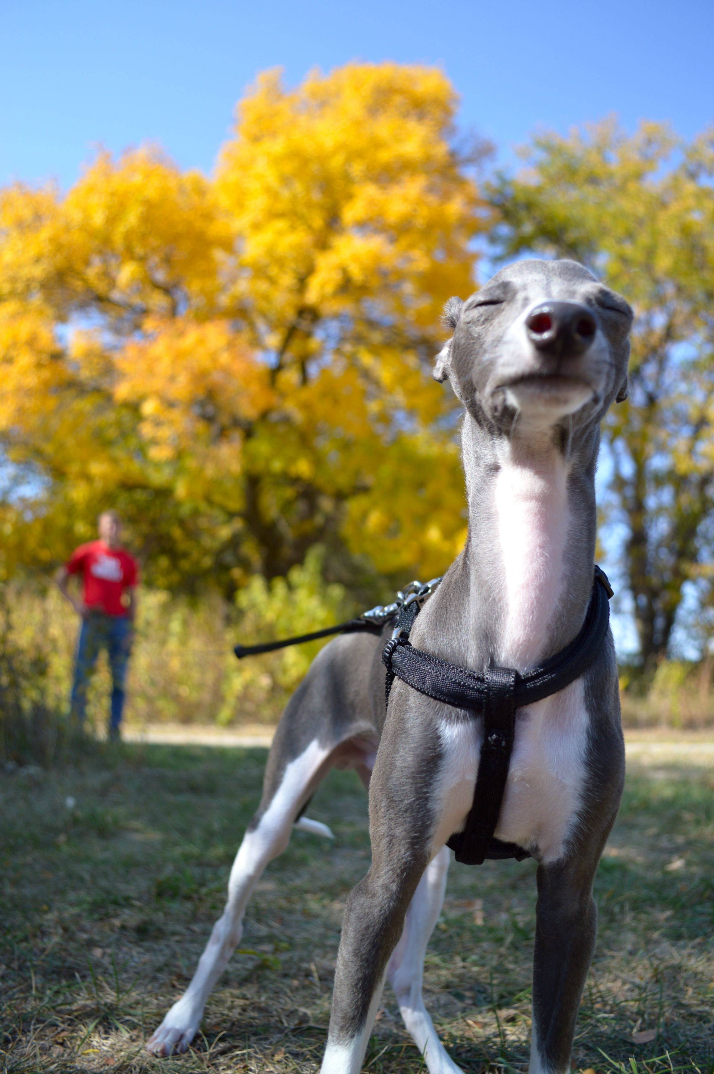 Mmmmm, svježi zrak jeseni, nirvana!