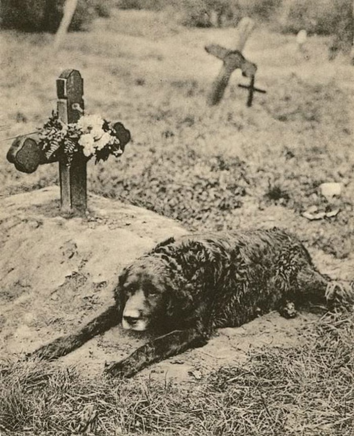 Semper fi