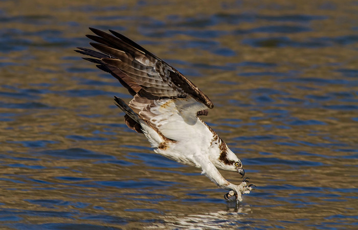 Smrt s nebesa