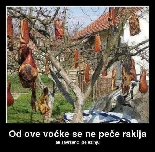 Slavonsko božićno drvce